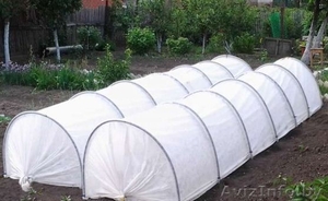 Чудо-парник - замена дорогим теплицам. #1551344