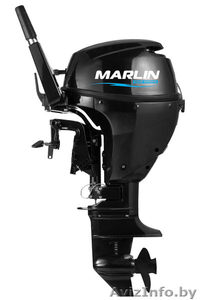 Лодочный мотор. #1551957