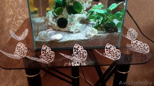 Ажурные бабочки #1554555