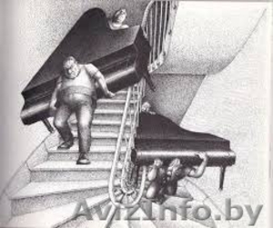 Актуальные грузчики . #1548834