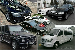 Свадебные авто и микроавтобусы до 20 мест. Внедорожники,  лимузины. Трансфер #1550859