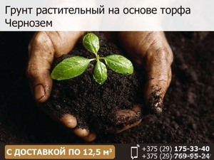 Грунт растительный на основе торфа. Чернозем. #1548564
