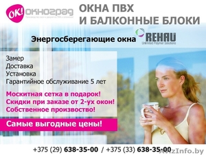 Окна ПВХ в г. Лида для обустройства Вашего дома . #1551828