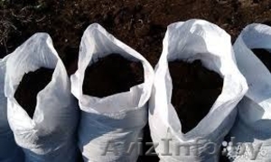 конский перепревший навоз высшего качества #1554868