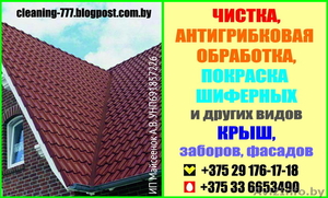 Мойка,  антигрибковая обработка,  Покраска Крыш. Заборов. Фасадов. #1561230