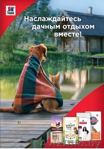 Корм для кошек и собак Хилс со скидкой 20% в зоосети СТРЕЛКА #1556079