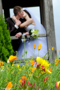 Фото и видеосъемка Барановичи,  Ляховичи,  Ганцевичи,  Несвиж,  Столбцы,  Ивацевичи #1560198