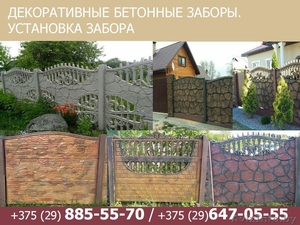 Бетонный забор        #1555413