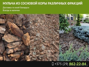 Мульча из сосновой коры различных фракций #1558512