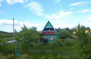 Приглашаем отдохнуть на уютной даче на Браславских озерах #1556527