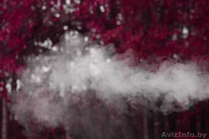 Профессиональная цифровая обработка фотографий #1563429