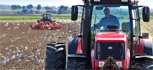 Спецтехника МТЗ: запчасти и комплектующие #1569635