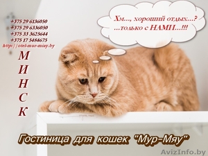 Гостиница для кошек 