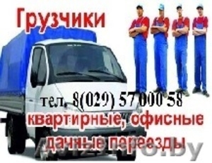 Грузчики,  грузоперевозки до 5 тонн #1566004