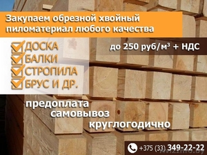 Закупаем пиломатериал хвойных пород. Дорого #1568157