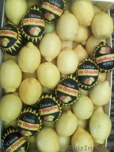 Овощи и фрукты из Испании и Марокко от производителя. #1562566