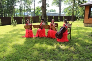 Струнный квартет в Минске. #920052