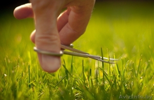 Уход за газоном #1566308