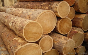 Пиловочник хвойных пород 26 см и более #1566202