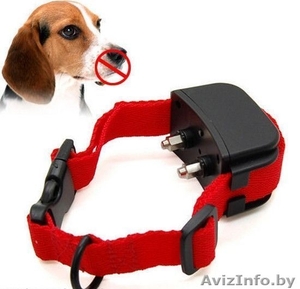 Электроошейник антилай для собак прокат,  аренда #1565992
