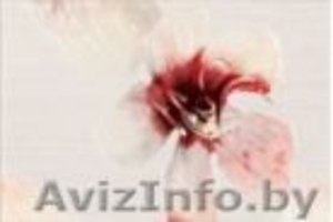 Снижаем цены до 70% #1574641