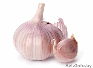 Чеснок домашний #1578327