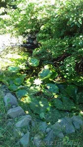 Продам дачу с садовым домиком или обменяю на седельный тягач #1575896