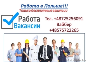 Бесплатные вакансии в Польше! #1577039