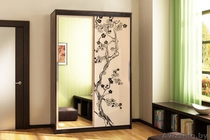 Шкаф-купе Мюнхен 11 #1583236