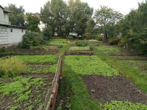 Аренда участка в Молодечно #1583539