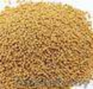 семена горчицы белой #1582532