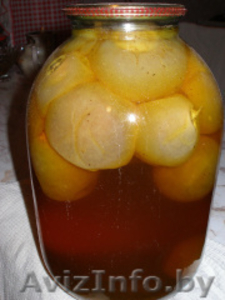 Продажа гриба Веселка #1581482