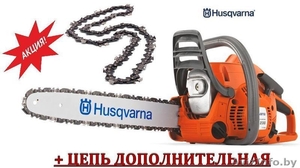 Бензопилы и электропилы. Лучшее для Вас. #1589303