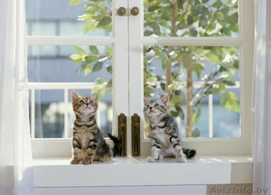 Окна и Двери пвх неликвид дешево 375*29*625*55*55 звоните #1590543