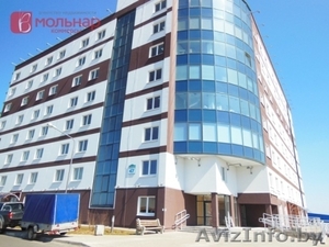 Сдаётся офис в БЦ Каменногорский,  23 м2 #1588665