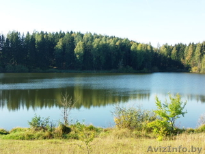 Коттедж на берегу озера недалеко от Минска,  д. Дички,  Раковское направление #1577413