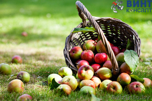 Бизнес-идея 