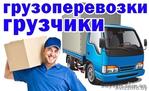 Грузчики от 