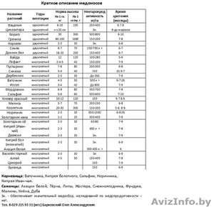 Семена Медоносных растений! #1593427