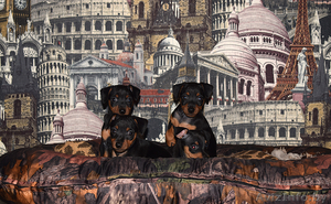 щенки цвергпинчера (мини доберман) #1591421