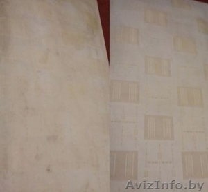 Химчистка ковров,  ковровых покрытий (на дому/вывоз) в Бресте. #1596211