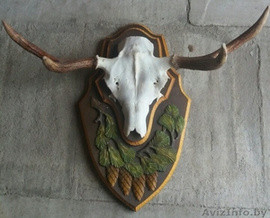 Рога лося на красивом креплении.Забирайте по супер цене до 31.12 Звоните #1600070
