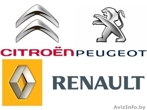 Продается магазин автозапчастей к французским автомобилям в центре Минска #1599111