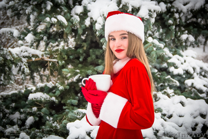 Костюмчик Santa Girl #1598633