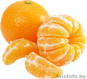 Мандарины оптом (клементин оптом) #1598161