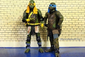 Черепашки ниндзя на детский праздник,  день рождения. #1601657