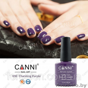 Гель - лаки Canni #1604186