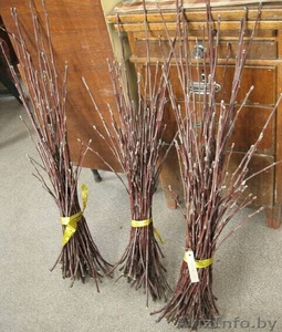 Черенки для Весенней прививки #1603451