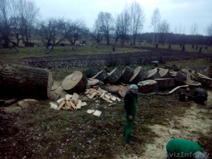 Колка дров. Поколоть дрова на дому. Быстро и надежно. #1603534
