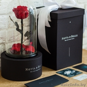 Роза в стеклянной колбе PREMIUM (28 см) #1606641